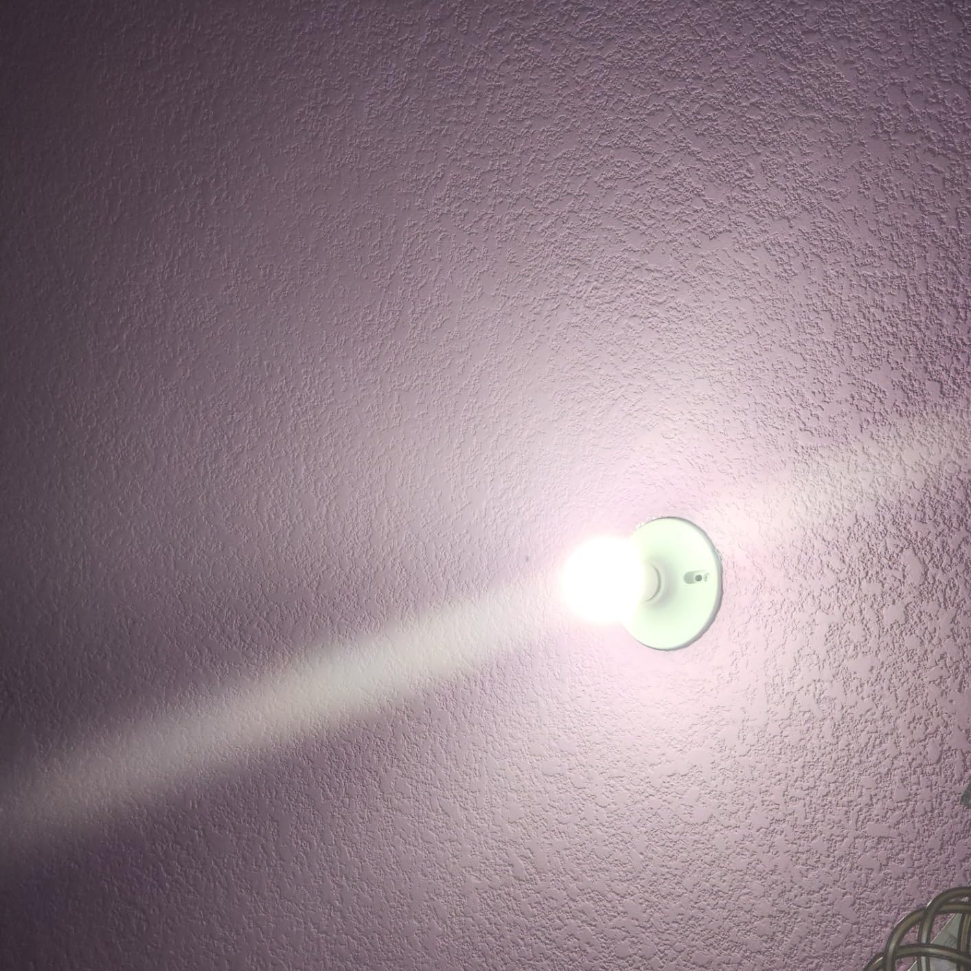 Tapo Multicolor Dimmable Smart Light Bulbs, L531E, A19 E26, 800LM customer photo 2