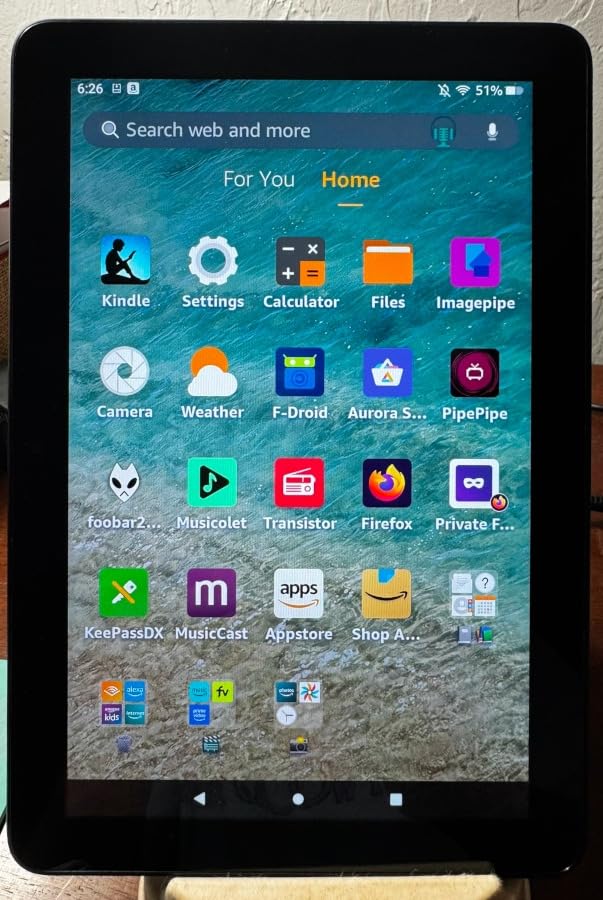 Amazon Fire HD 8 customer photo 2