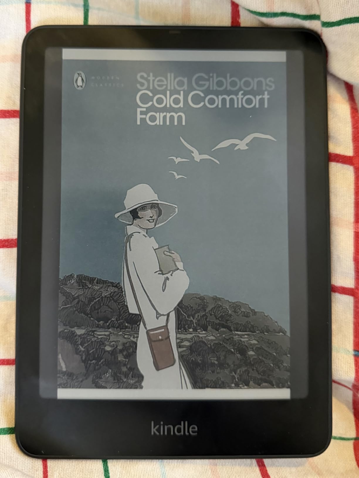Kindle Colorsoft Signature Edition 32GB customer photo 1