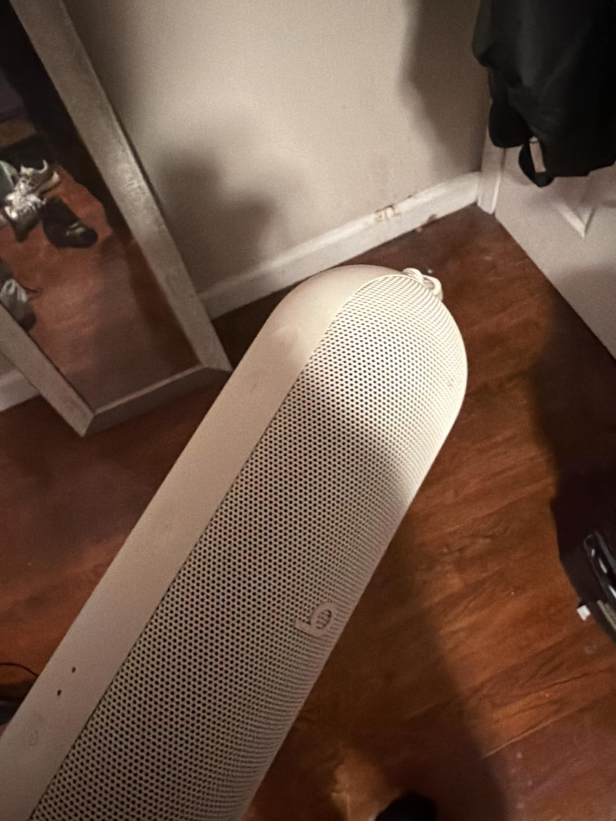 Beats Pill customer photo 1