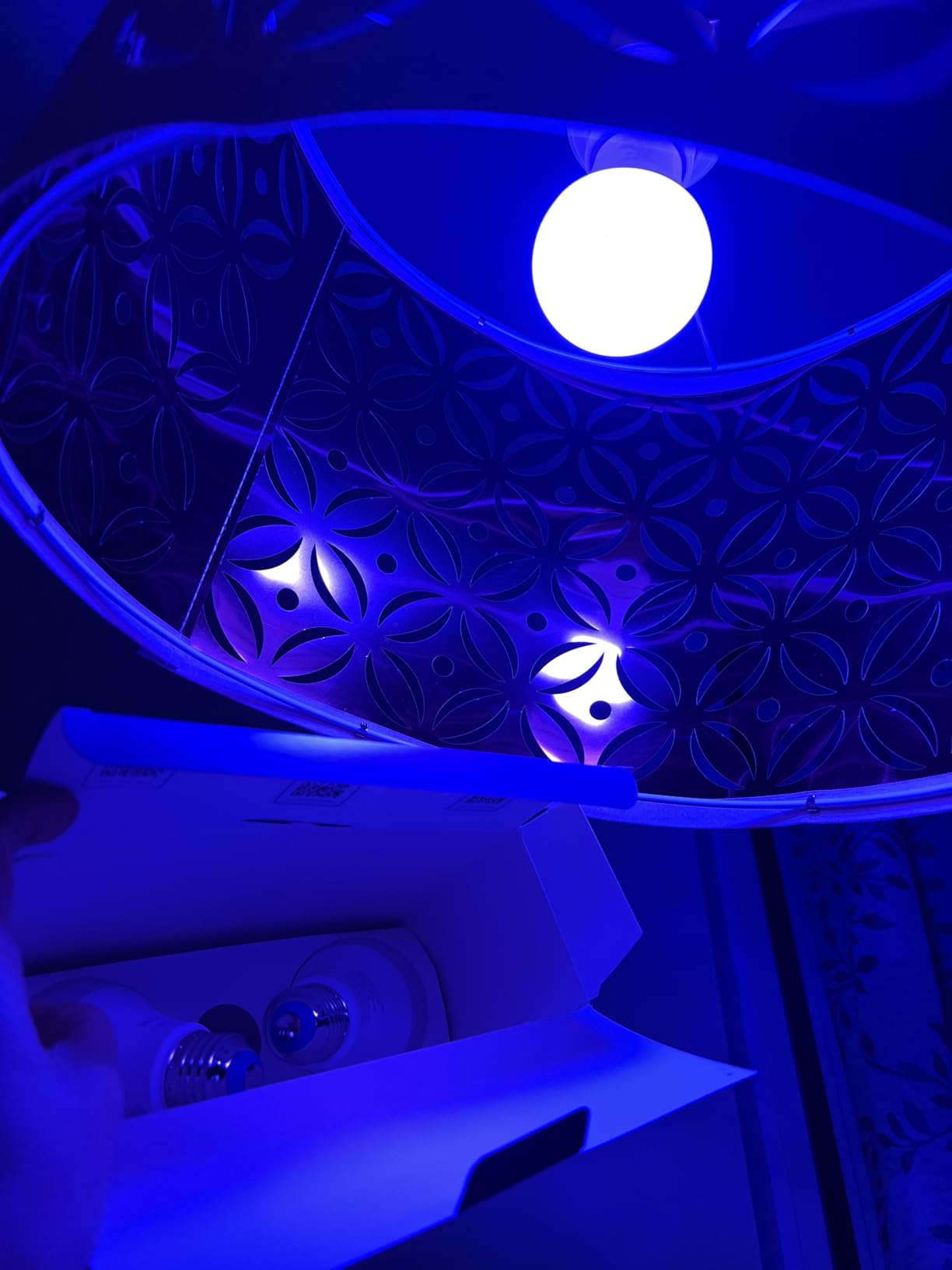 WiZ Connected LED Smart Light Bulbs, Sunset to Sunrise Automation + Motion Detection + Control with Voice or App, Full Color A19 60W 800LM E26 Indoor, Matter Compatible - 1 Pack customer photo 1