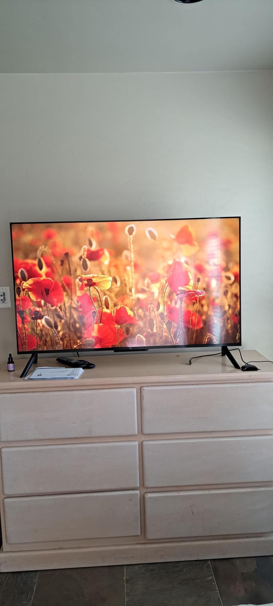 Amazon Ember 50-inch 4-Series customer photo 2
