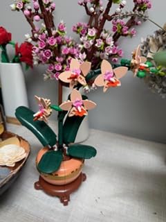 LEGO Mini Orchid 10343 customer photo 1