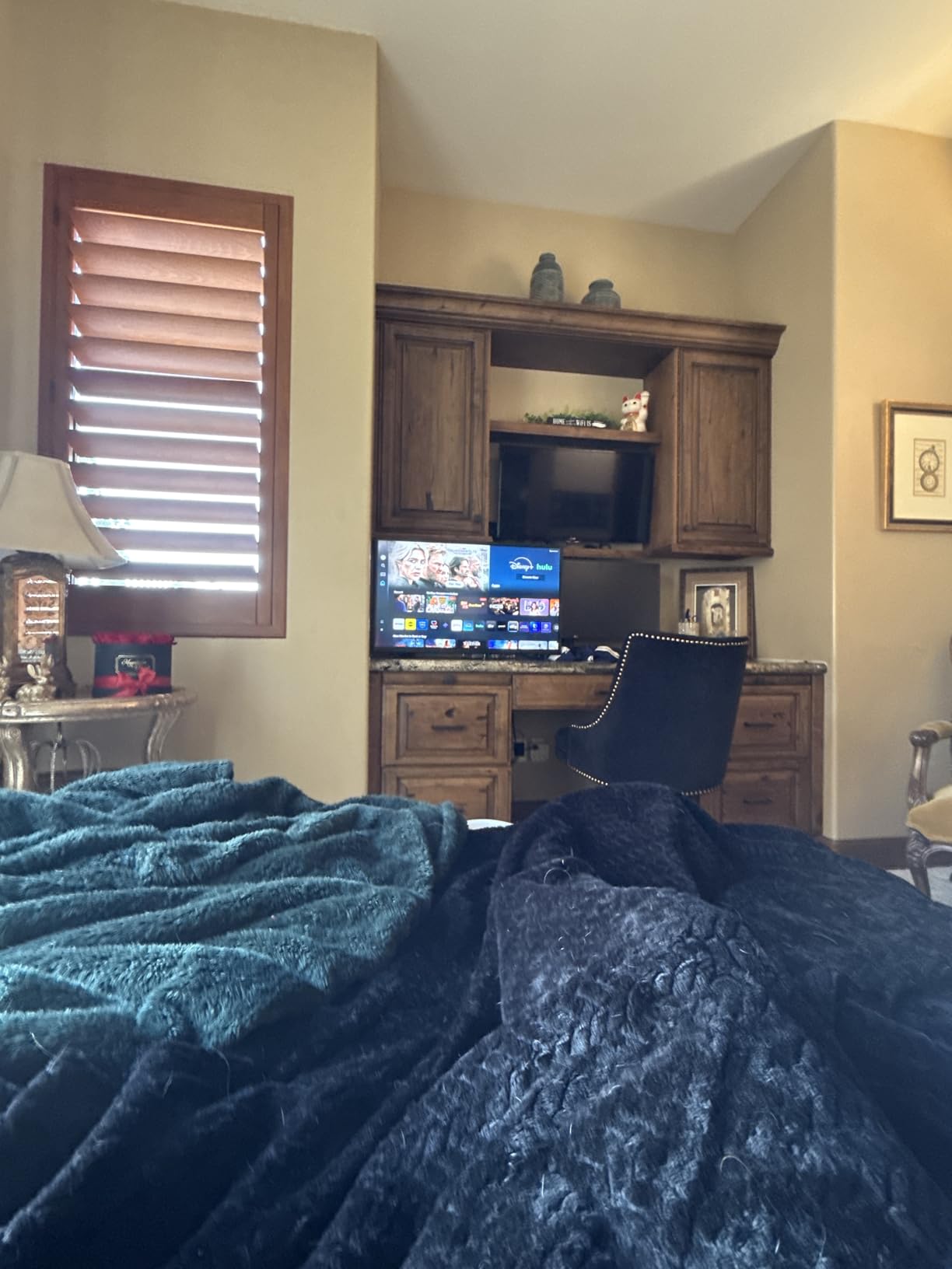 Samsung F6000 40-Inch customer photo 2