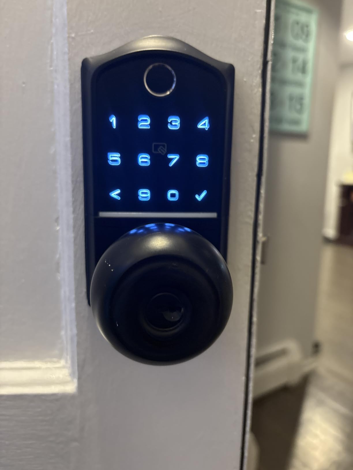 Veise VE018 Fingerprint Keypad Smart Door Knob Handle Lock, Matte Black customer photo 2
