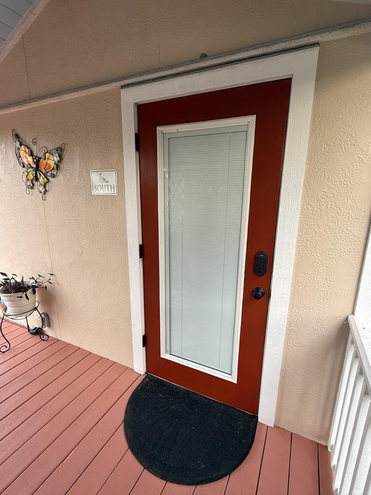 Tapo DL100 customer photo 2
