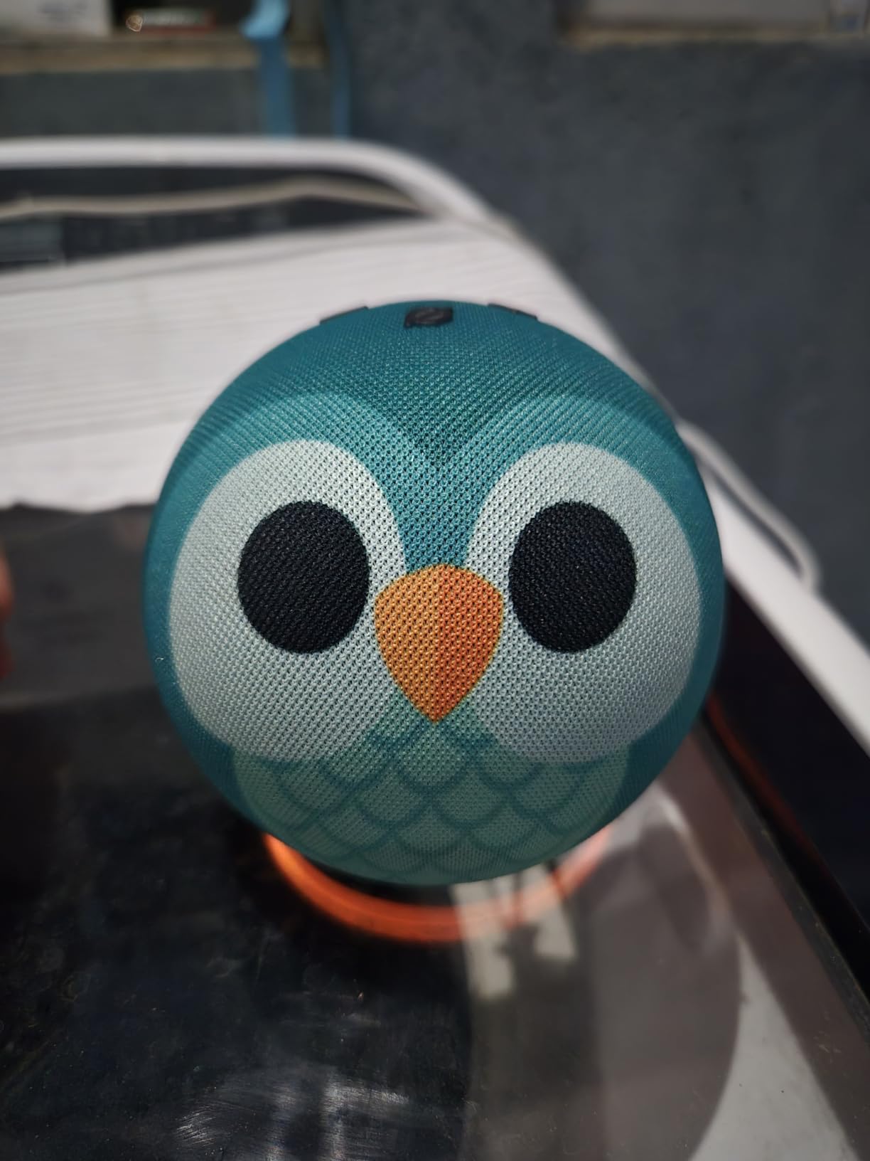 Amazon Echo Dot Kids customer photo 1