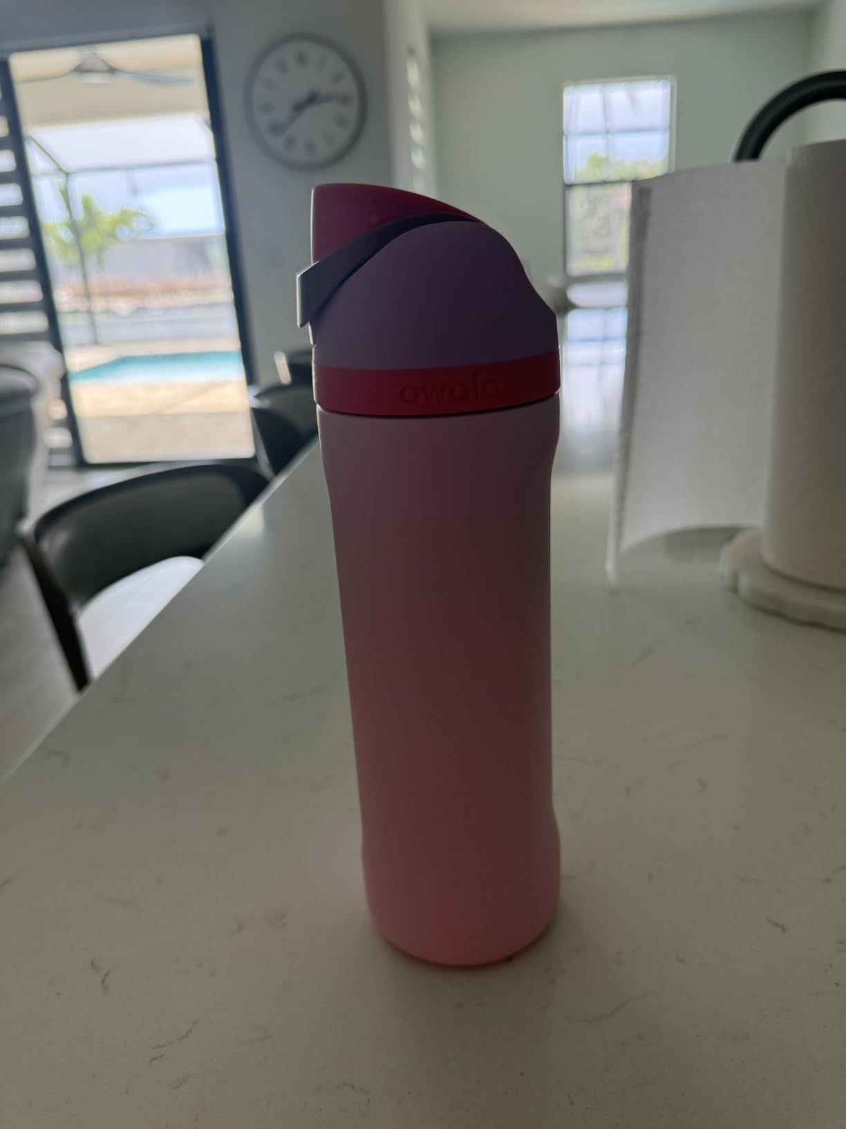 Owala FreeSip 24 oz customer photo 2