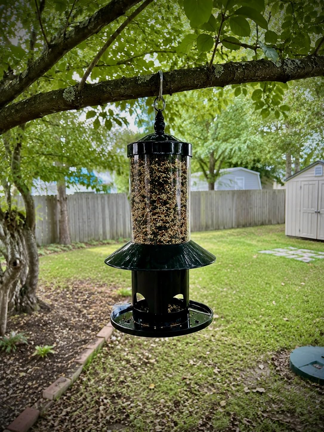 Squirrel-Proof Bird Feeder 360° Feeding Perch Tray for Outdoor Hanging customer photo 1