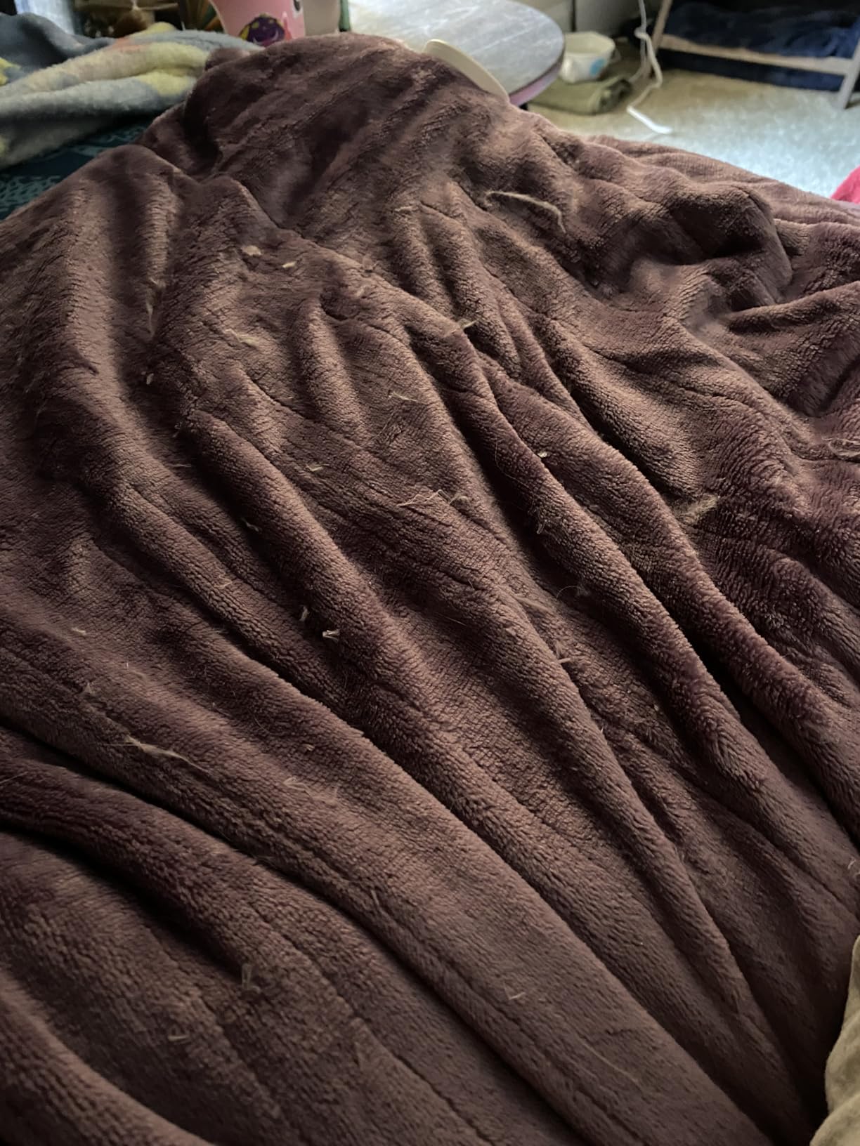 Wapaneus Full-Size Flannel Blanket customer photo 1
