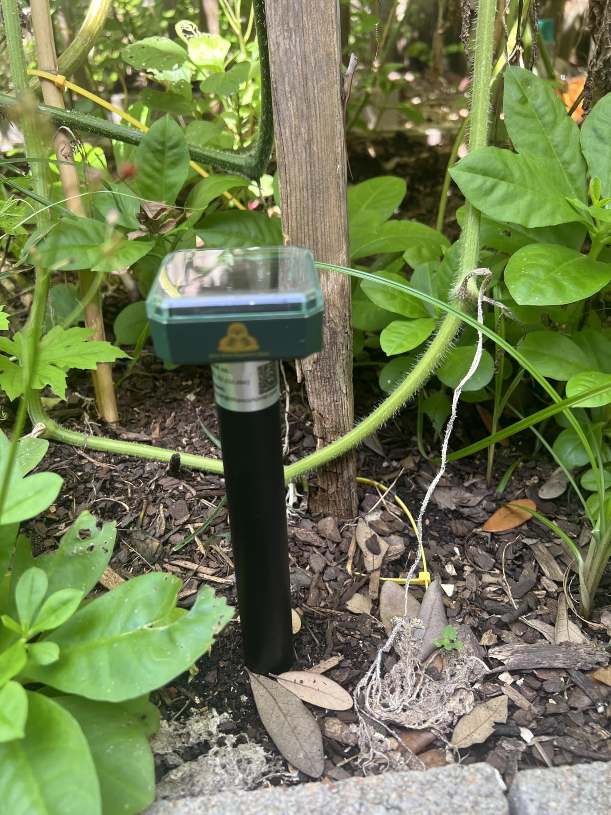 4 Packs Mole Repeller for Lawns, Solar Powered Mole Repellent Vole & Gopher Deterrent, IP 65 Waterproof Humane Pest Control for Gopher Vole Snake in Lawn, Garden & Yard customer photo 2