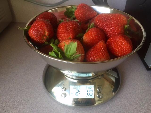 URPOWER Compact Vacuum Sealer Set, Handheld Vacuum Pump & Containers customer photo 1