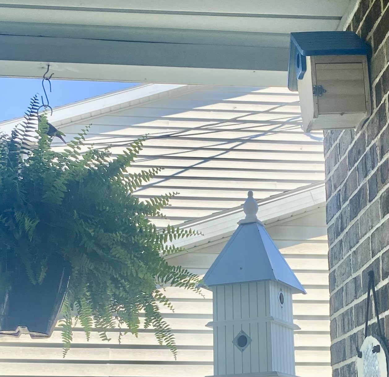 Kingsyard Squirrel Proof Hanging Bird Feeder for Outdoors customer photo 2