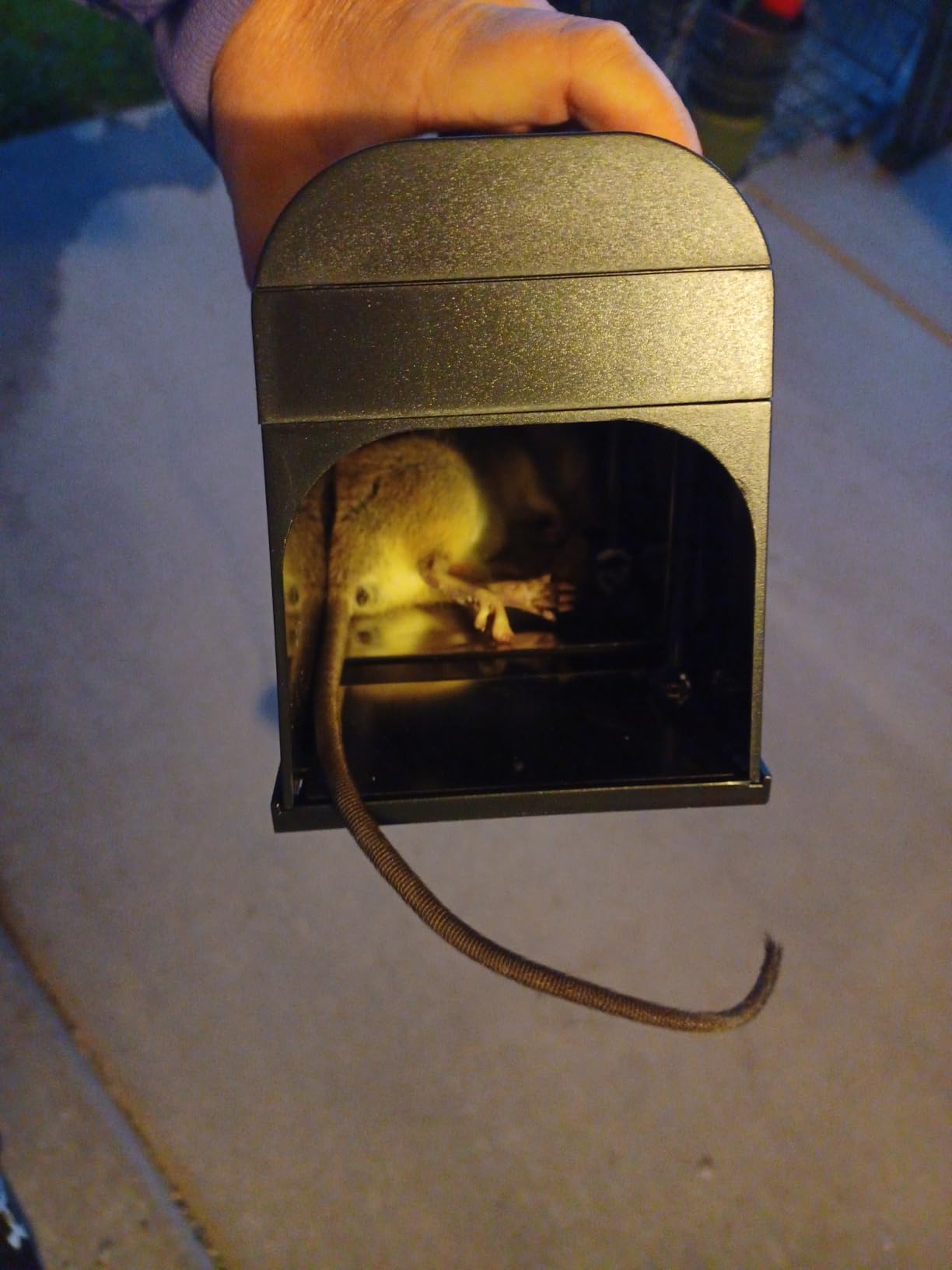 2026 Electric Mouse Trap Zapper Indoor,Electric Rat Traps Indoor for Homes customer photo 2