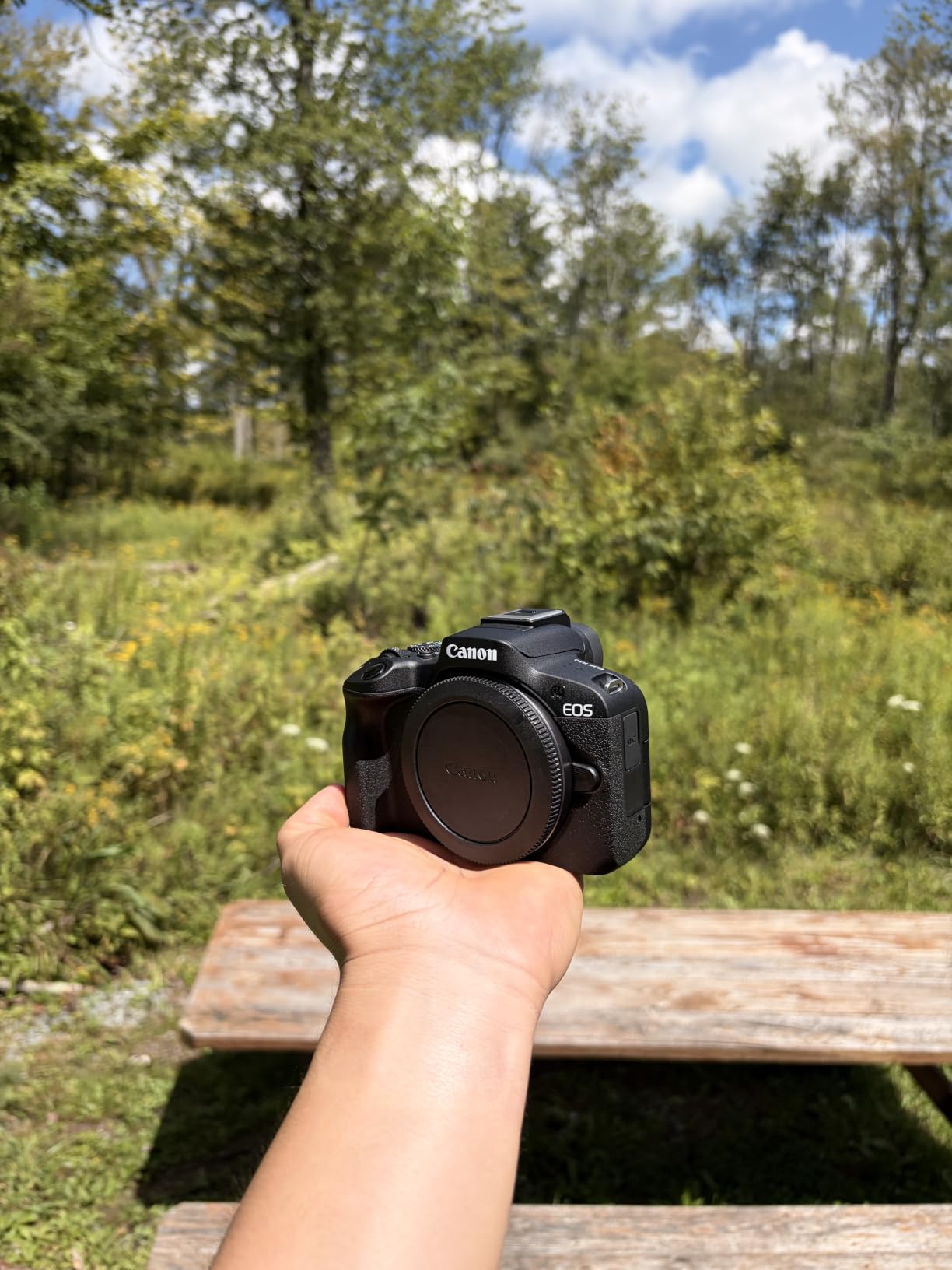 Canon EOS R50 Kit customer photo 2