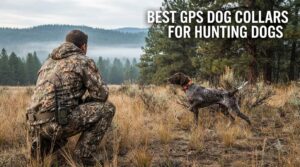 best gps dog collars for hunting dogs